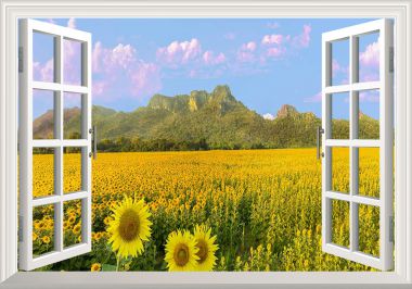 Tranh cửa sổ cánh đồng hoa hướng dương