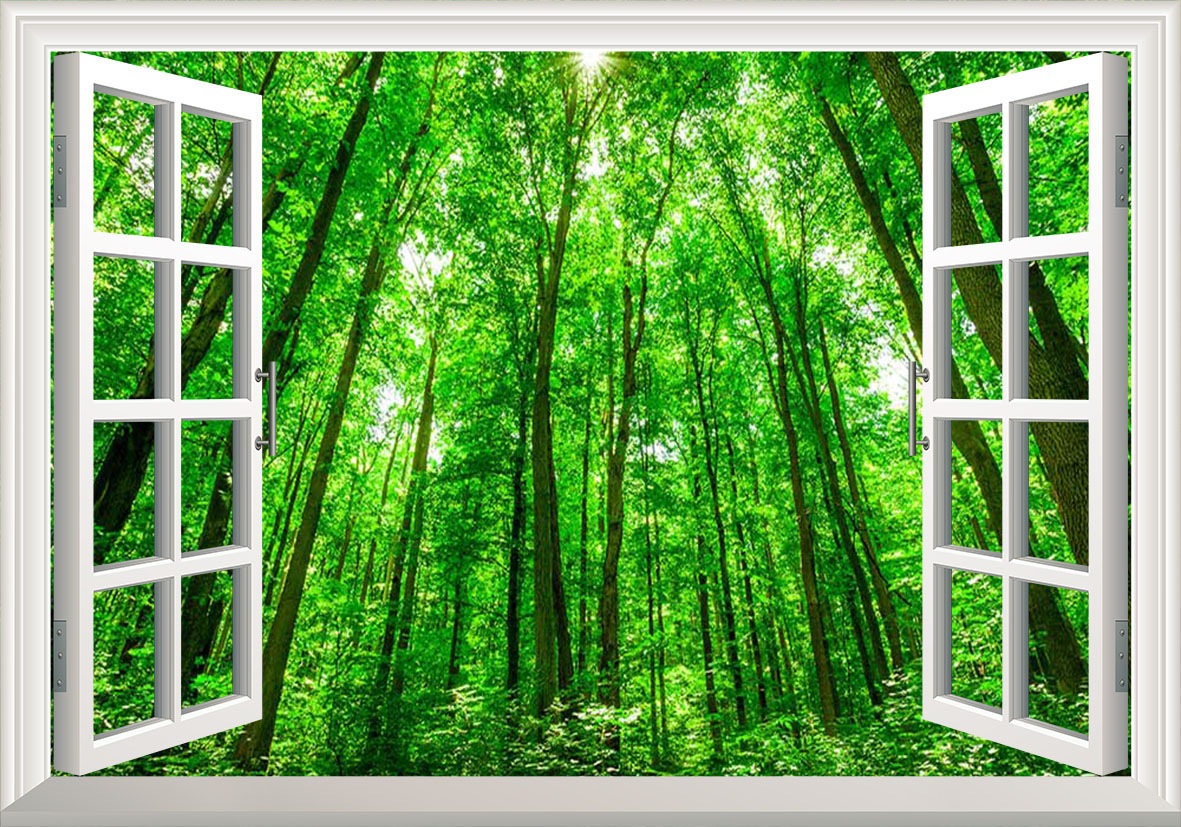 Tranh cửa sổ 3D khu rừng cây xanh