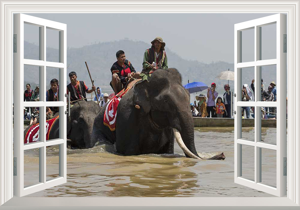 Tranh dán tường cửa sổ 3D lễ hội đua voi ở Đak lak