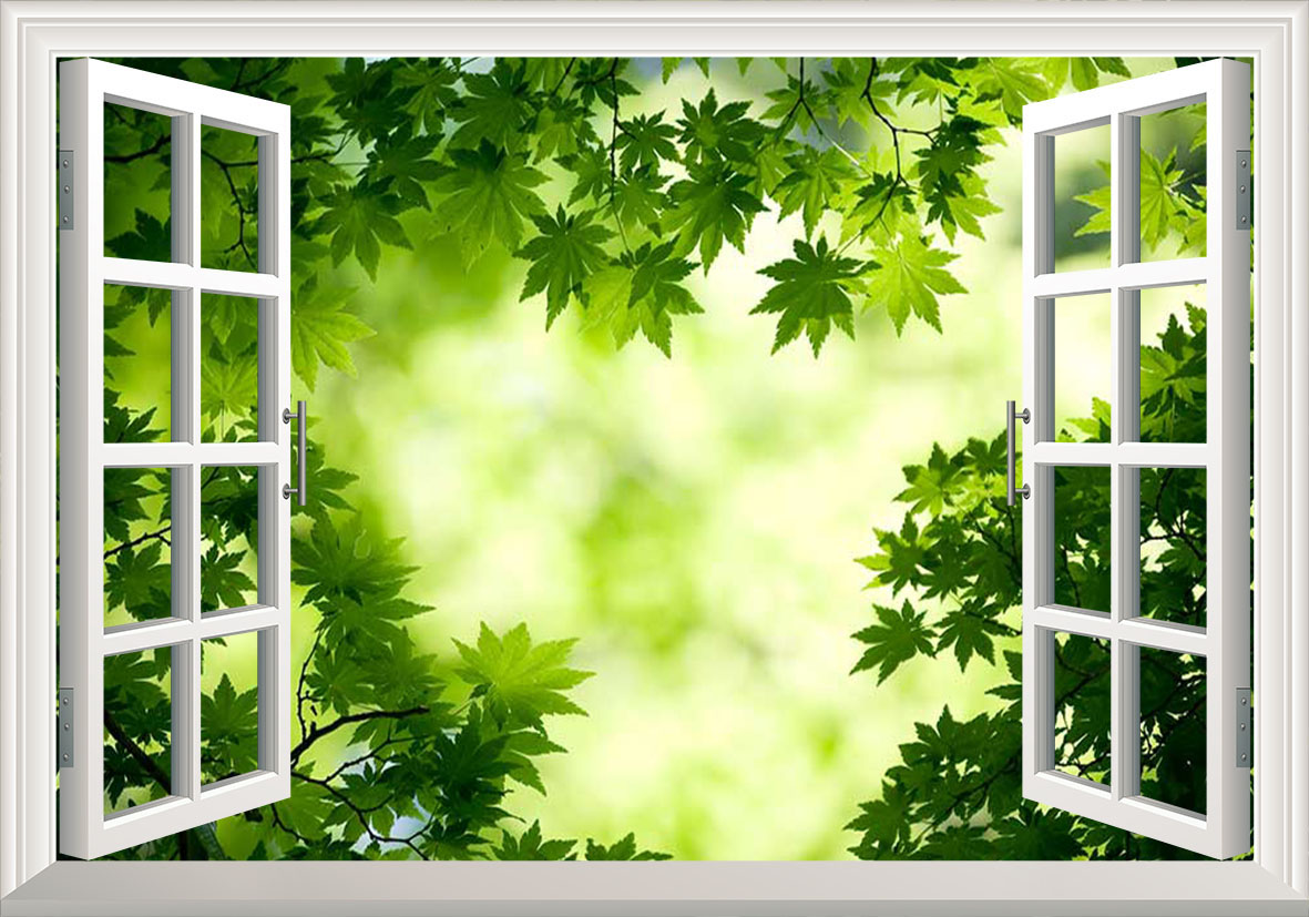 Tranh cửa sổ lá xanh