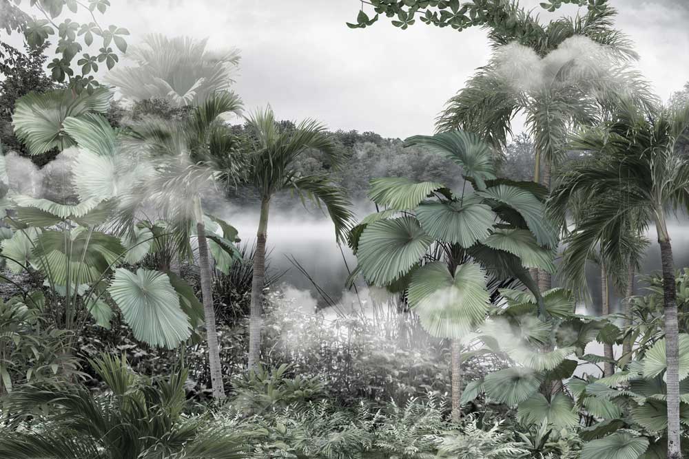 Tranh dán tường cây nhiệt đới và lá trong rừng sương mù