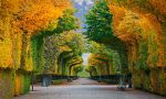 Tranh dán tường 3D công viên Nhật Bản mùa thu
