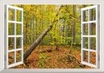 Tranh dán tường cửa sổ 3D chiều thu trong rừng Hà lan